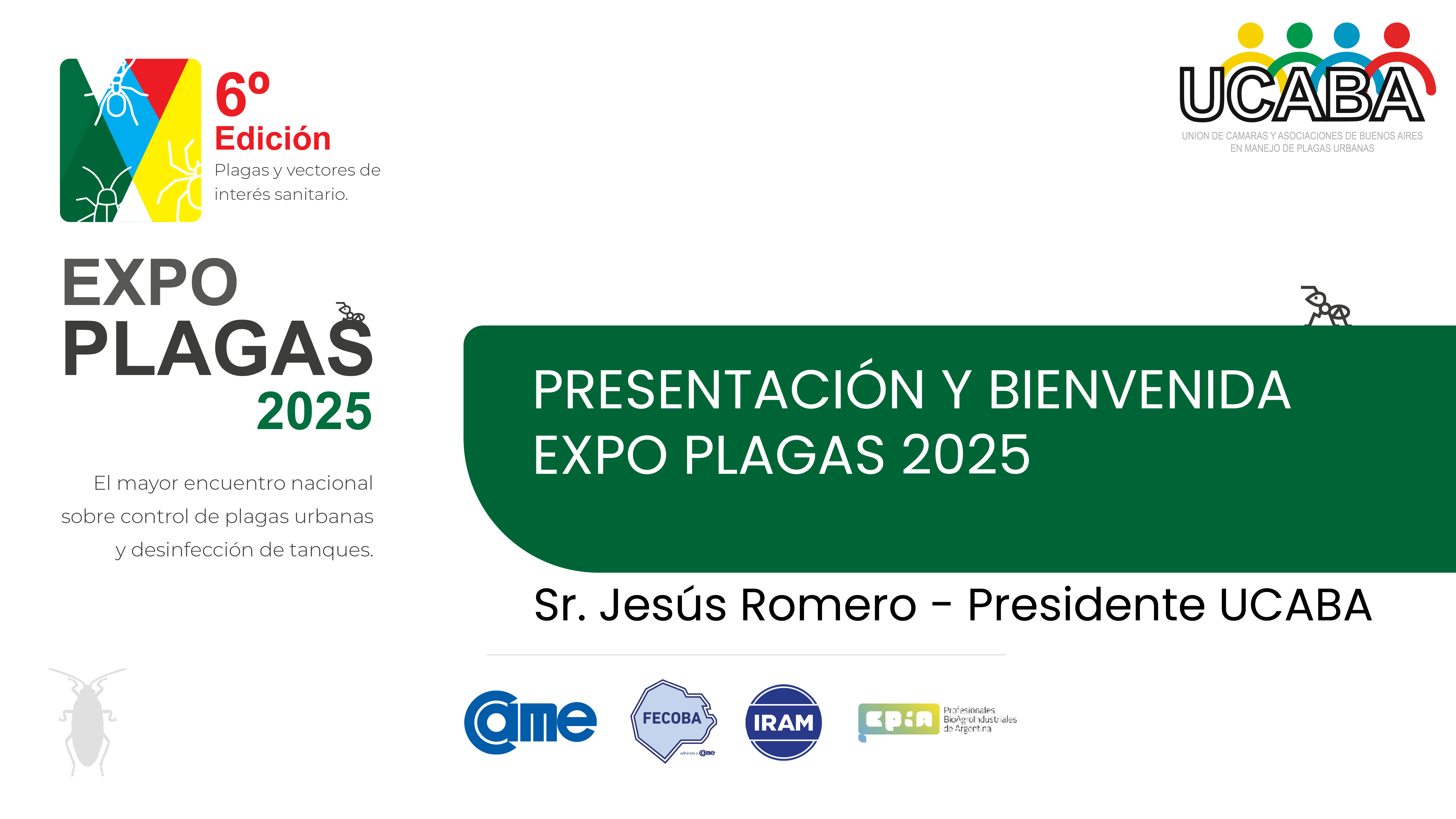 Imagen del Curso